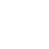 自主研发
