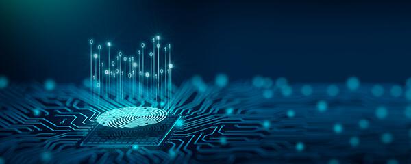 Fingerprint on Display Sensor  Materials